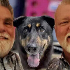 Cachorro que foi abandonado por ser visto como “gay” é adotado por casal homoafetivo